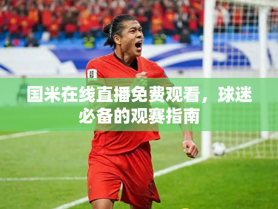 国米在线直播免费观看，球迷必备的观赛指南