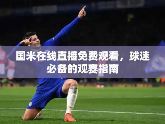 国米在线直播免费观看，球迷必备的观赛指南