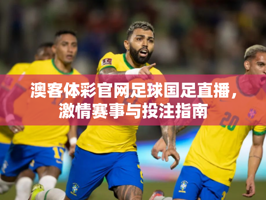 澳客体彩官网足球国足直播，激情赛事与投注指南