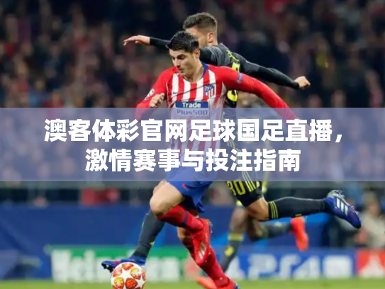 澳客体彩官网足球国足直播，激情赛事与投注指南