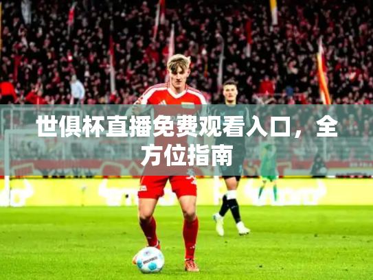 世俱杯直播免费观看入口，全方位指南