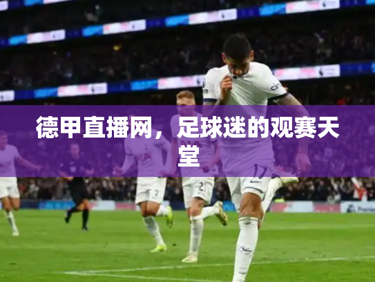 德甲直播网，足球迷的观赛天堂