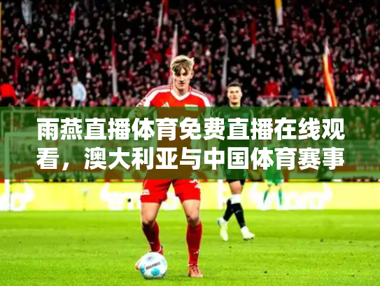 雨燕直播体育免费直播在线观看，澳大利亚与中国体育赛事的跨文化桥梁