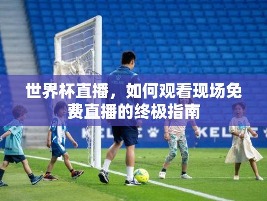 世界杯直播，如何观看现场免费直播的终极指南