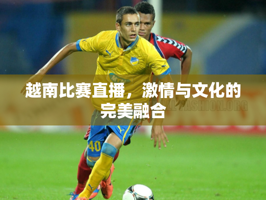 越南比赛直播，激情与文化的完美融合