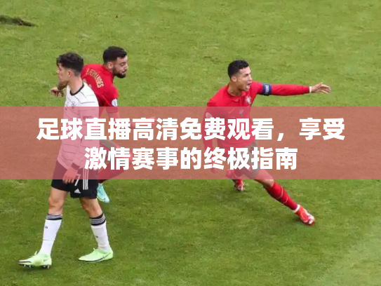 足球直播高清免费观看，享受激情赛事的终极指南