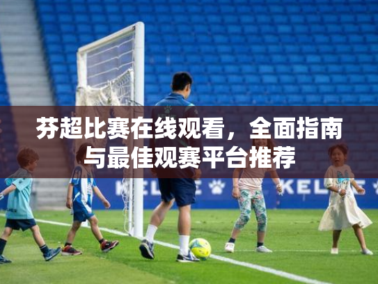 芬超比赛在线观看，全面指南与最佳观赛平台推荐