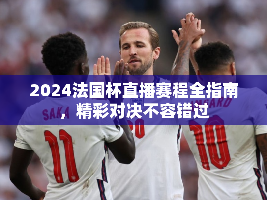2024法国杯直播赛程全指南，精彩对决不容错过