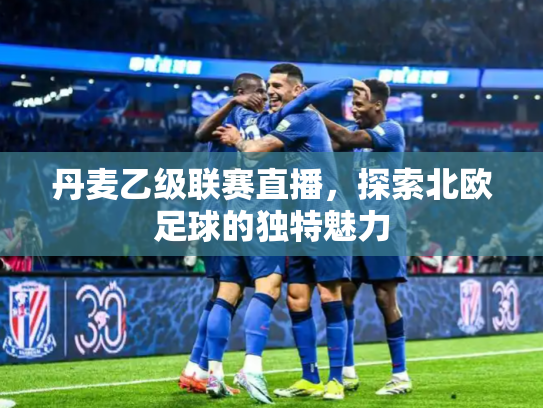 丹麦乙级联赛直播，探索北欧足球的独特魅力