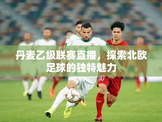 丹麦乙级联赛直播，探索北欧足球的独特魅力