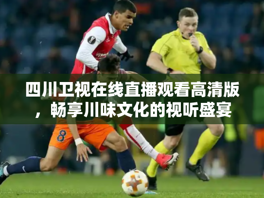 四川卫视在线直播观看高清版，畅享川味文化的视听盛宴