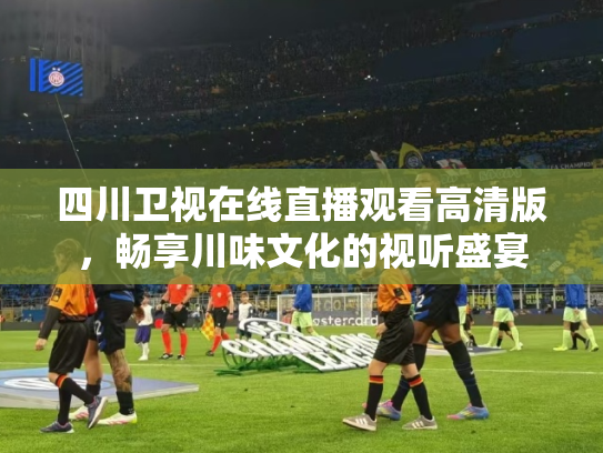 四川卫视在线直播观看高清版，畅享川味文化的视听盛宴