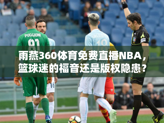 雨燕360体育免费直播NBA，篮球迷的福音还是版权隐患？