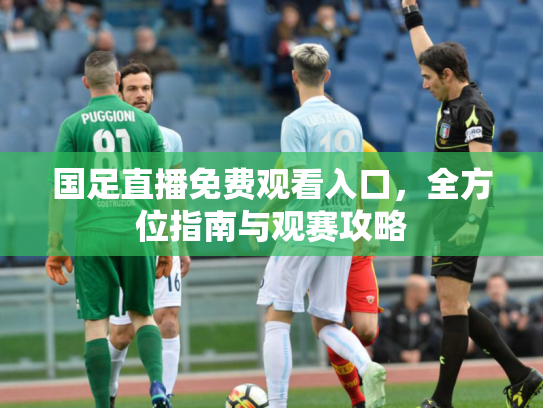 国足直播免费观看入口，全方位指南与观赛攻略