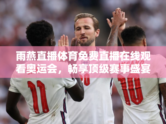雨燕直播体育免费直播在线观看奥运会，畅享顶级赛事盛宴