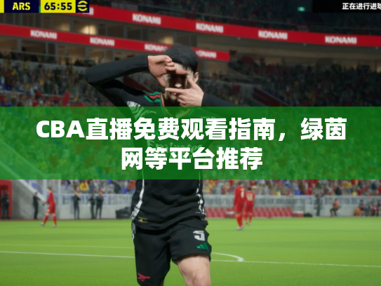 CBA直播免费观看指南，绿茵网等平台推荐