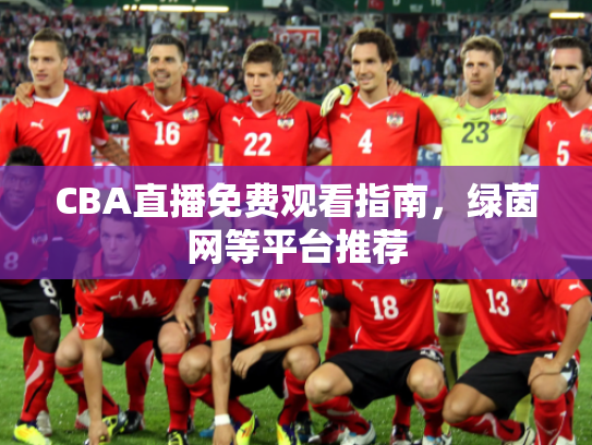 CBA直播免费观看指南，绿茵网等平台推荐