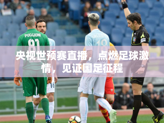 央视世预赛直播，点燃足球激情，见证国足征程