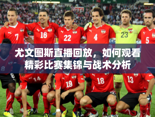 尤文图斯直播回放，如何观看精彩比赛集锦与战术分析