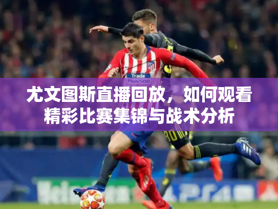 尤文图斯直播回放，如何观看精彩比赛集锦与战术分析