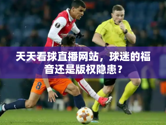 天天看球直播网站，球迷的福音还是版权隐患？