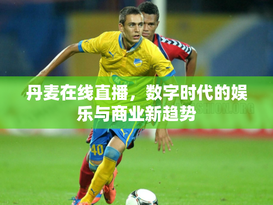丹麦在线直播，数字时代的娱乐与商业新趋势