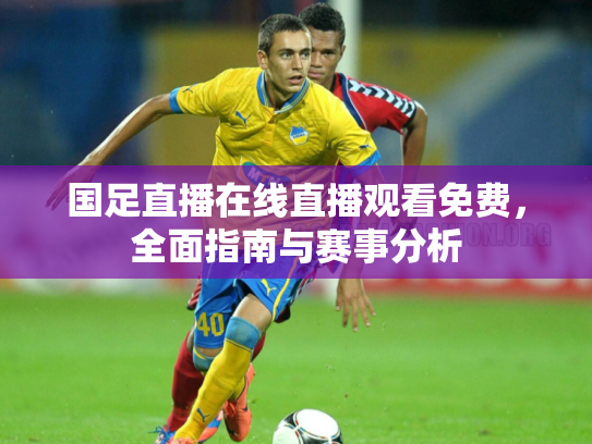 国足直播在线直播观看免费，全面指南与赛事分析