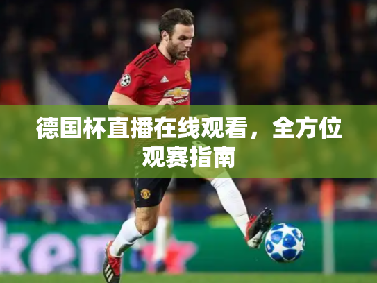 德国杯直播在线观看，全方位观赛指南