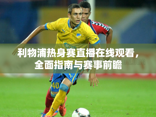 利物浦热身赛直播在线观看，全面指南与赛事前瞻