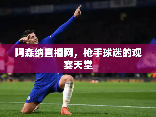 阿森纳直播网，枪手球迷的观赛天堂