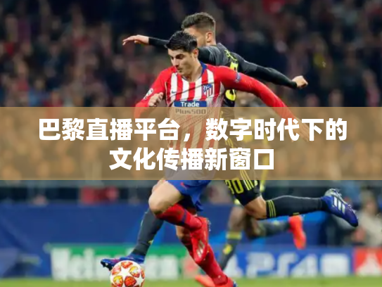 巴黎直播平台，数字时代下的文化传播新窗口