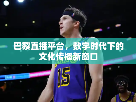巴黎直播平台，数字时代下的文化传播新窗口