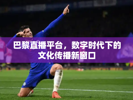 巴黎直播平台，数字时代下的文化传播新窗口