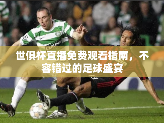 世俱杯直播免费观看指南，不容错过的足球盛宴