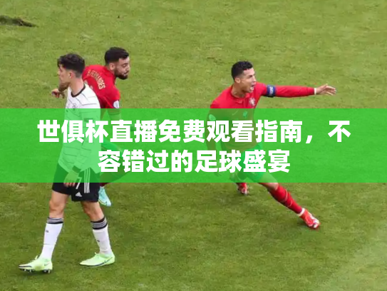 世俱杯直播免费观看指南，不容错过的足球盛宴