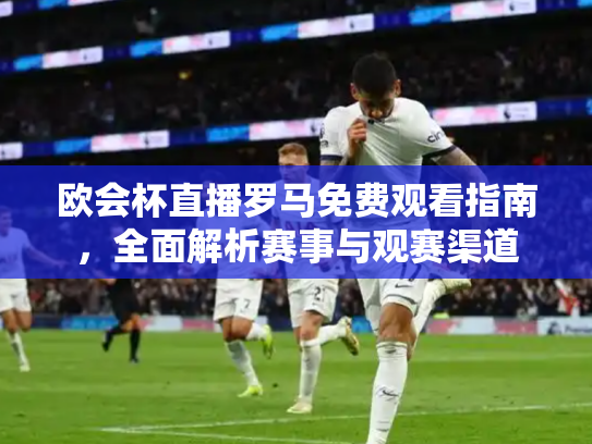欧会杯直播罗马免费观看指南，全面解析赛事与观赛渠道