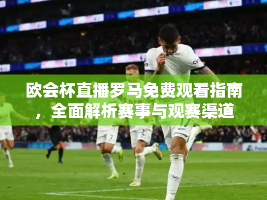 欧会杯直播罗马免费观看指南，全面解析赛事与观赛渠道