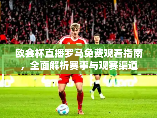 欧会杯直播罗马免费观看指南，全面解析赛事与观赛渠道