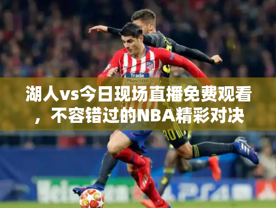 湖人vs今日现场直播免费观看，不容错过的NBA精彩对决