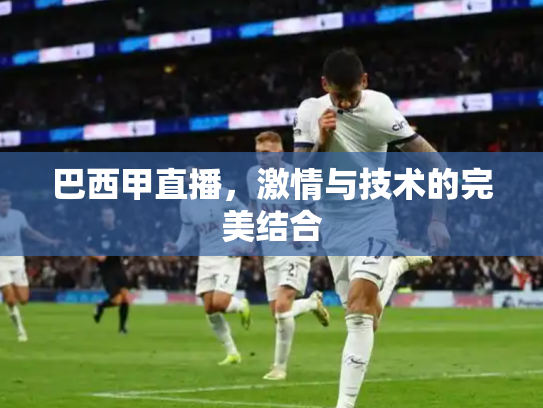 巴西甲直播，激情与技术的完美结合