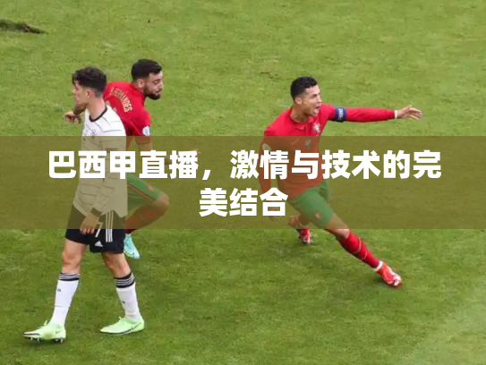 巴西甲直播，激情与技术的完美结合