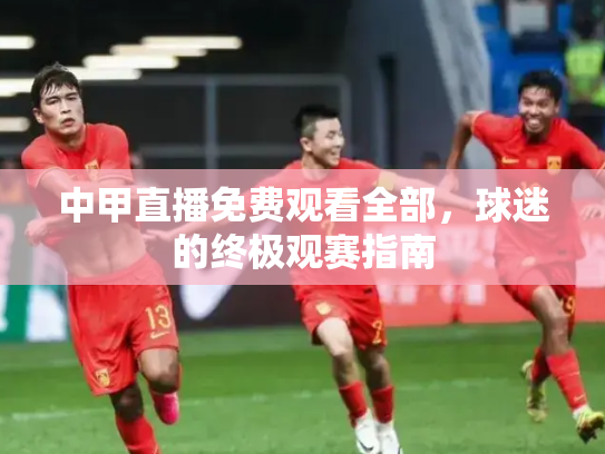 中甲直播免费观看全部，球迷的终极观赛指南