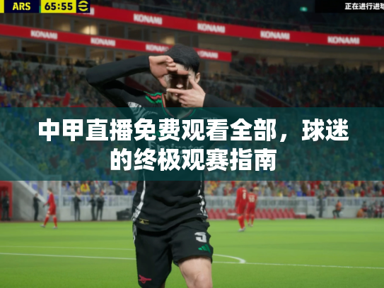 中甲直播免费观看全部，球迷的终极观赛指南