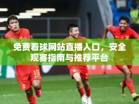 免费看球网站直播入口，安全观赛指南与推荐平台