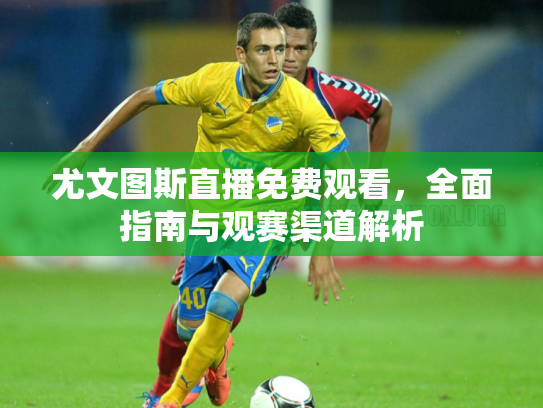 尤文图斯直播免费观看，全面指南与观赛渠道解析