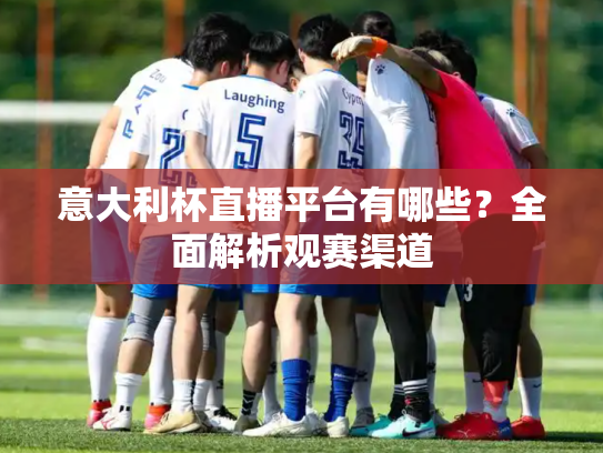 意大利杯直播平台有哪些？全面解析观赛渠道