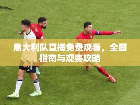 意大利队直播免费观看，全面指南与观赛攻略