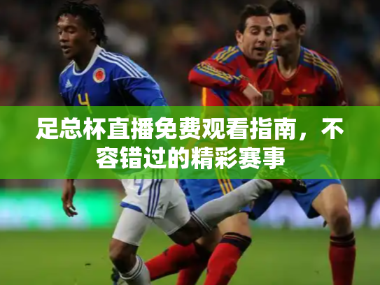 足总杯直播免费观看指南，不容错过的精彩赛事