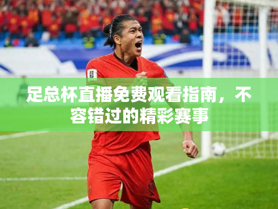 足总杯直播免费观看指南，不容错过的精彩赛事