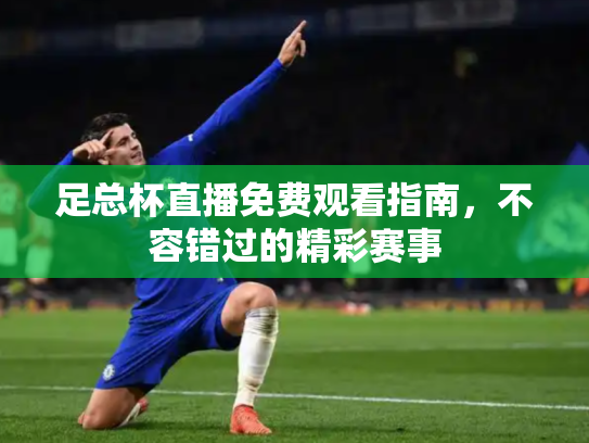 足总杯直播免费观看指南，不容错过的精彩赛事